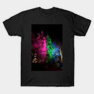 Winter Lights T-Shirt